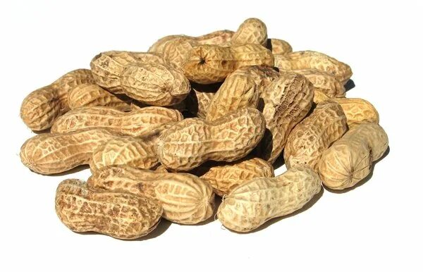 Peanuts 1