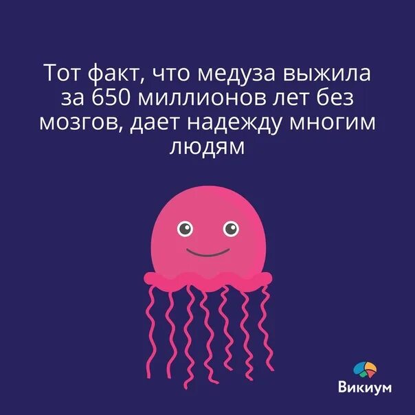Тем у кого нет. У медузы нет мозга. без мозгов.