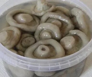 Можно солить грибы в пластиковом ведре