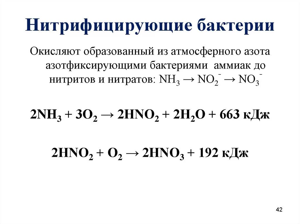 Аммиака нитритов нитратов. Нитрифицирующие бактерии уравнение реакции. 2. Нитрифицирующие бактерии. Реакция нитрификации азота. Нитрифицирующие бактерии формула.