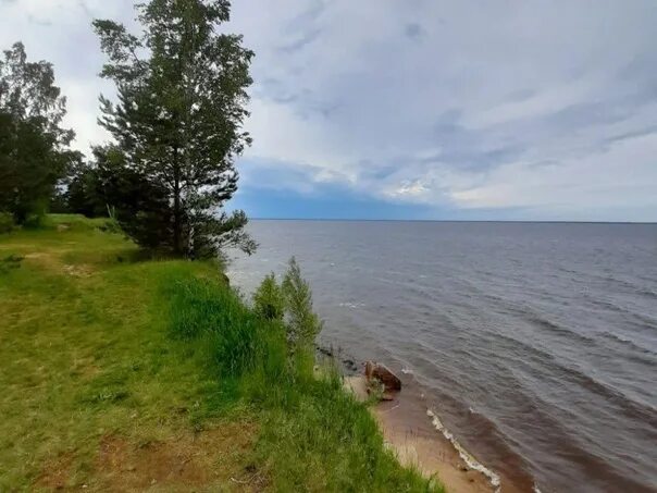 Ларионово Рыбинское водохранилище. Рыбинское водохранилище деревня Ларионово. Легково Рыбинское водохранилище. Коприно Рыбинское водохранилище.