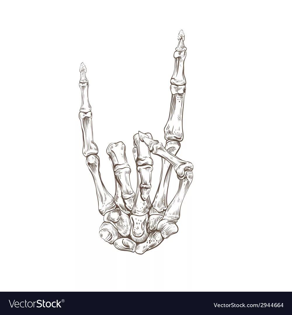 Metal hand. Скелет руки. Тату скелет на руке. Рука скелета рисунок. Рука скелета знак рока.