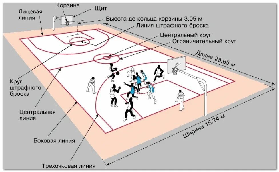 На какой позиции осмотра. Схема игрового поля в баскетболе. Баскетбол разметка игрового поля. Правила баскетбола разметка площадки. Баскетбол поле схема.