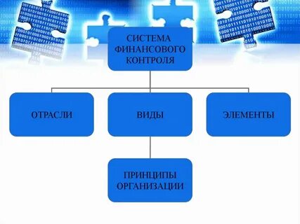 Организация финансов отрасли