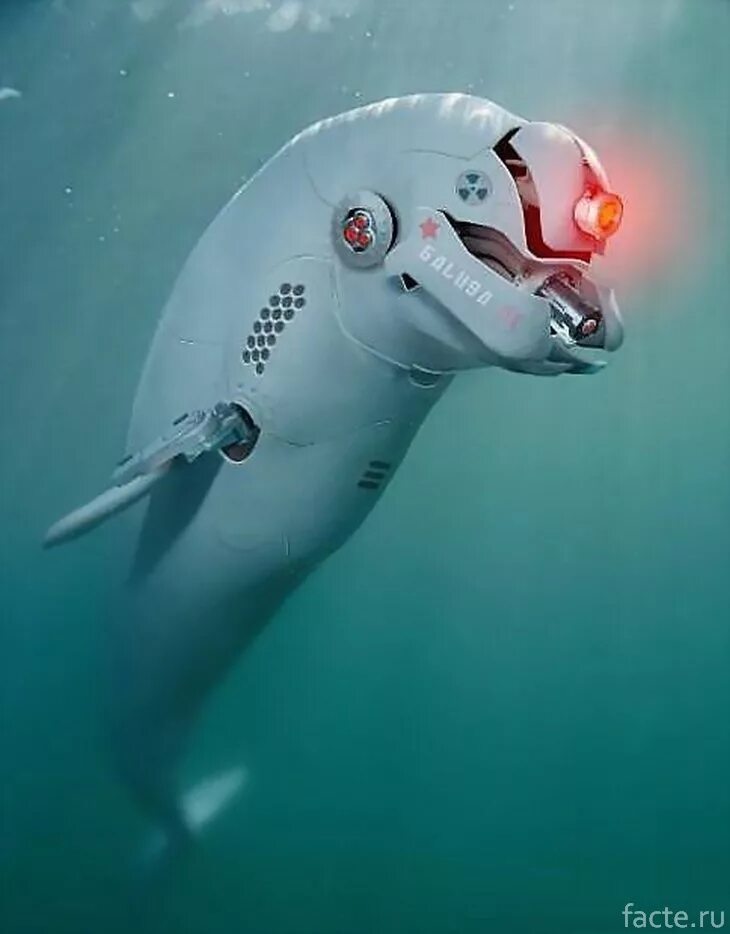 Дельфины террористы. Робот Дельфин. Боевые дельфины. Боевые дельфины убийцы. Боевые морские животные.