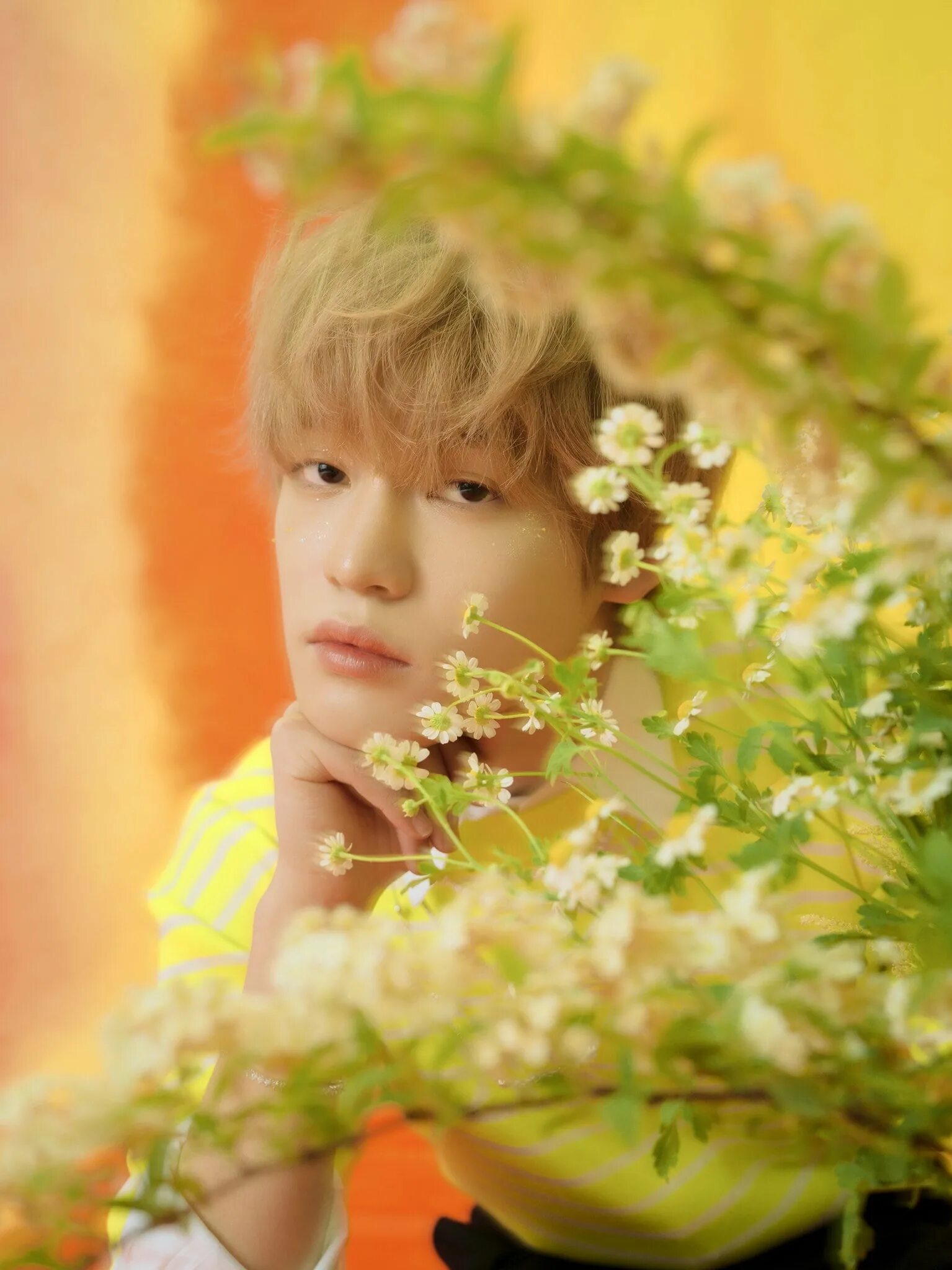 Future hello. Nct dream hello future album. nct dream chenle. chenle nct dream косички. nct dream hello future photoshoot.
