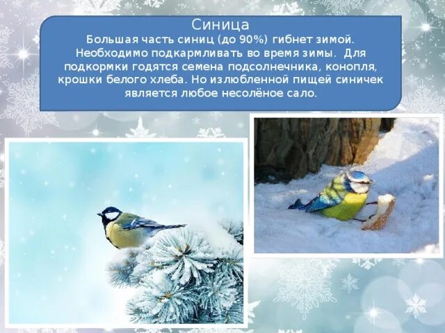 Изменения в природе в декабре. Зимние изменения в природе. Зимние изменения в природе 2 класс. Зимние изменения в природе 2 класс окружающий. Изменения в живой природе зимой.