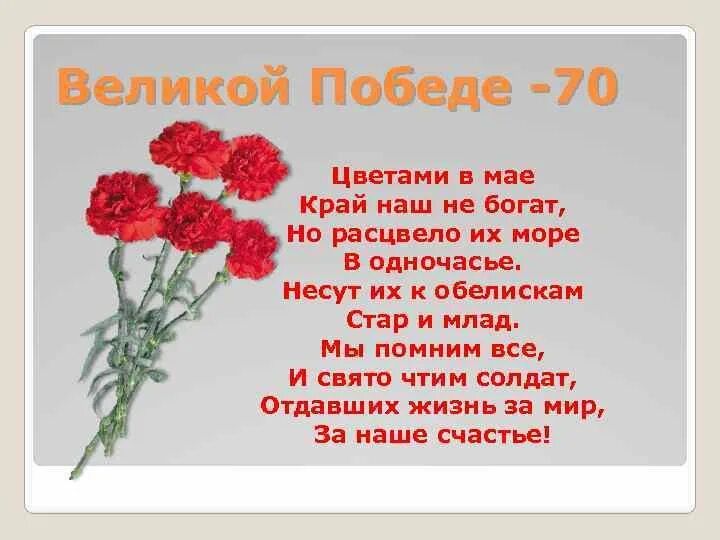 9 мая цветы песня текст. Цветами в мае край наш не богат. Стихи про цветы на войне. Цветы Победы в Великой победе. Май цветы победа цитаты.