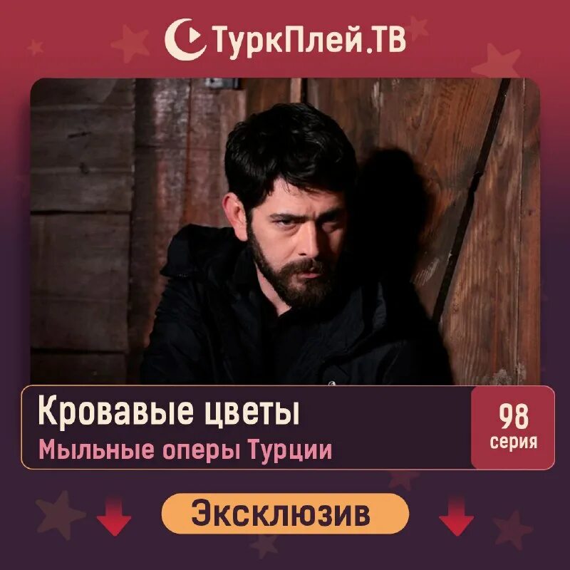 Кровавые цветы телеграмм. Кровавые цветы телеграмм