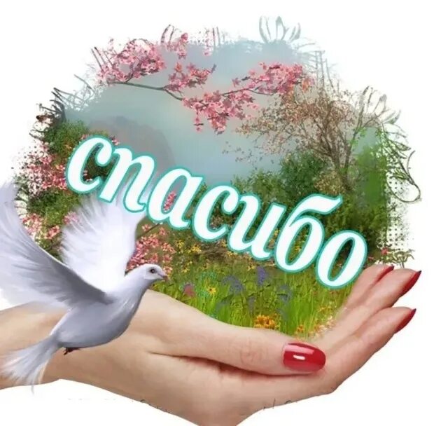 Спасибо передам ему. Открытки с благодарностью. благодарность картинки. благодарю картинки. спасибо мужчине.