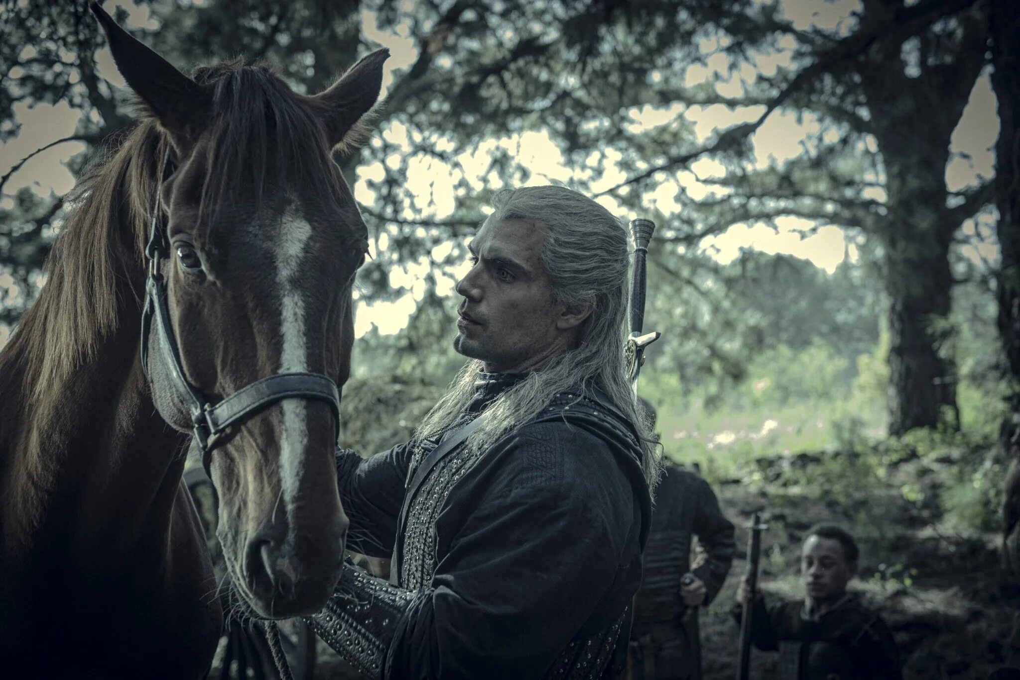 The witcher series