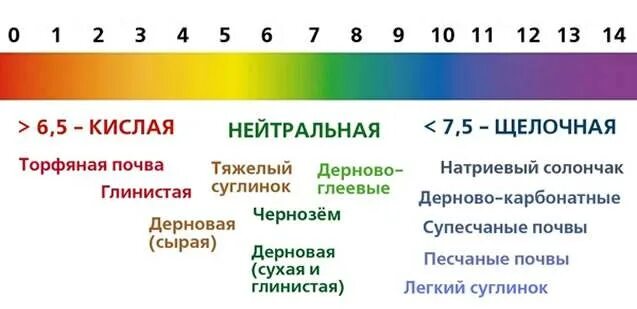 5 7 кислотность. PH кислотность почвы для клубники. Шкала кислотности PH почвы. Кислотность почвы шкала кислотности. PH 12 кислотность почвы.