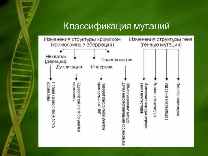 Мутации связанные с изменением днк. Классификация мутаций таблица по биологии. мутации классификация мутаций. классификация генных мутаций. типы хромосомных мутаций таблица.
