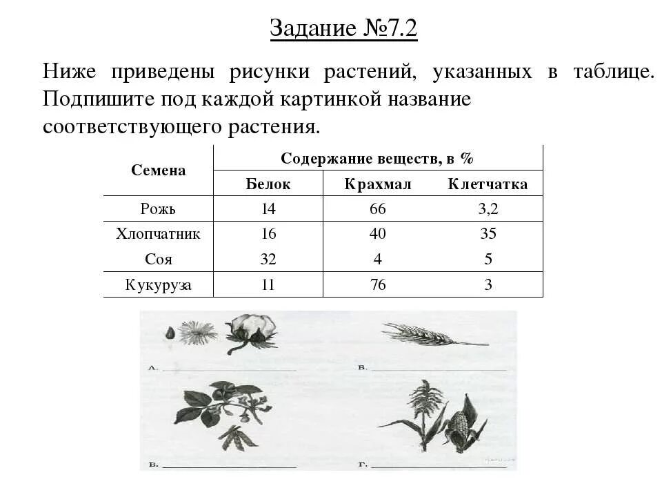 Вар по биологии 5 класс 2024 ответы