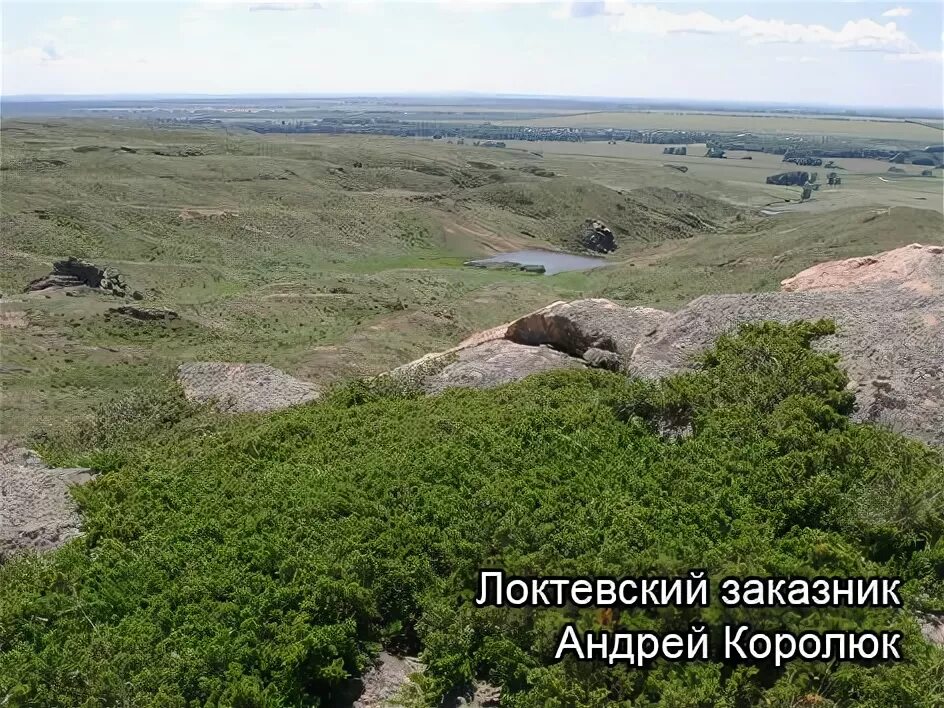 Устьянка локтевский алтайский край. Локтевский заказник Алтайского края. Устьянка Алтайский край Локтевский район. Алтайский край Локтевский район природа. Государственный природный заказник «Локтевский» Локтевский.