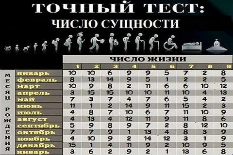 Количество дате рождения