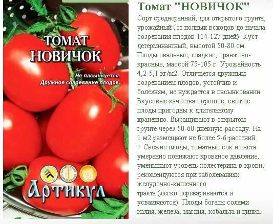 Томат зимние характеристика и описание сорта. Томат новичок характеристика и описание сорта фото. новичок красный томат описание. томат новичок розовый характеристика и описание сорта. помидоры новичок описание сорта.