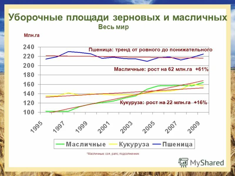 Таблица по зерновым культурам. Площадь зерновых. Площадь зерновых. Зерновое хозяйство россии. Площадь зерновых культур.