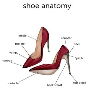 My Shoe Anatomy Learn More Now! 