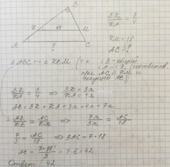 Прямая mn параллельна стороне ac треугольника abc. Прямая параллельная стороне ac треугольника abc пересекает стороны. Прямая параллельная стороне ac треугольника abc. Прямая mn параллельна стороне ac треугольника abc. Прямая параллельная стороне ac треугольника abc пересекает стороны.