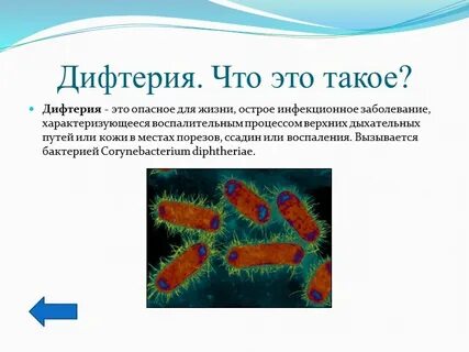 Дифтерия вирусная инфекция