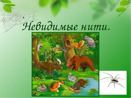 Окружающий мир растения и животные