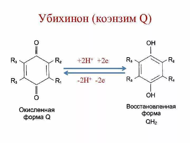 Убихинон формула биохимия. Убихинон кофермент q. Убихинон витамин биохимия. Фмн и убихинон участок. Убихинон или убихинол.