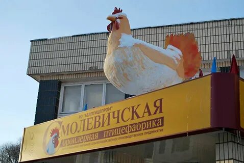 Смолевичи бройлер