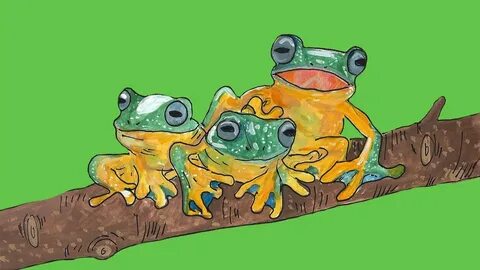 Корова лягушка