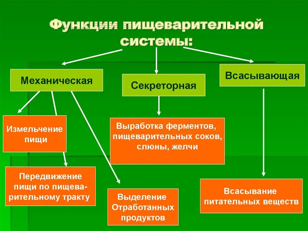 Какую функцию выполняет механическая