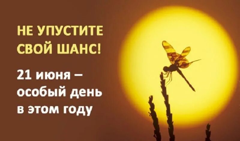 Календарь на ноябрь 2022 года. День летнего солнцестояния. День летнего солнцестояния в 2022. День летнего солнцестояния. Ритуалы дня летнего солнцестояния.