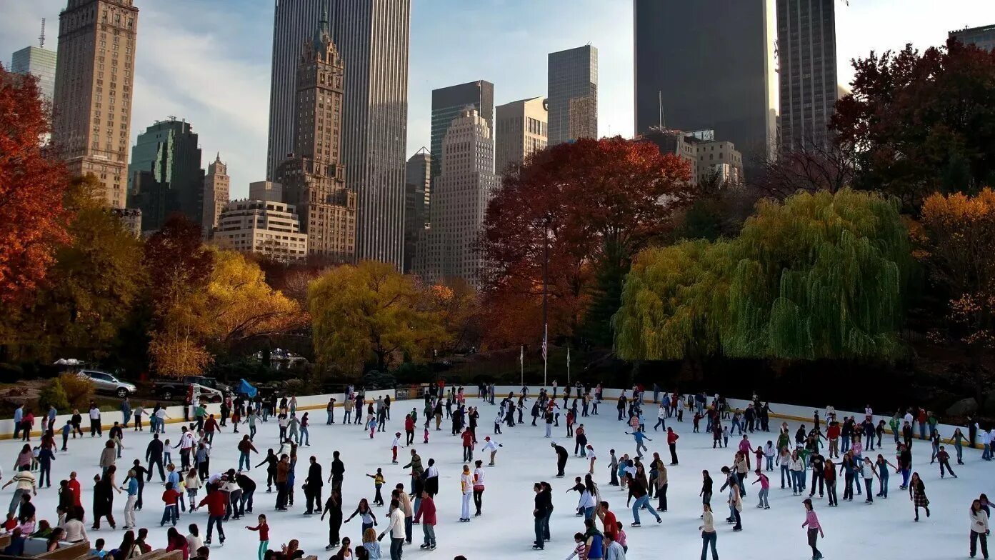 Wollman Rink Центральный парк. Централ парк Нью-Йорк. Уоллмен ринк каток. Центральный парк Нью-Йорк площадь. New york is really