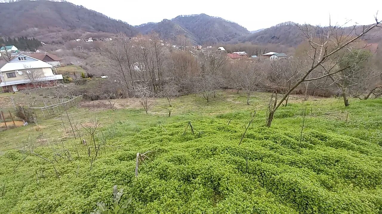Верхнее лоо. Верхнее армянское лоо. Райское наслаждение сочи лоо. Верхнеармянское лоо. Водопад райское наслаждение в лоо.