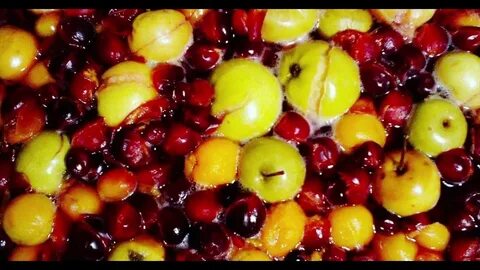 Какие фрукты для компота