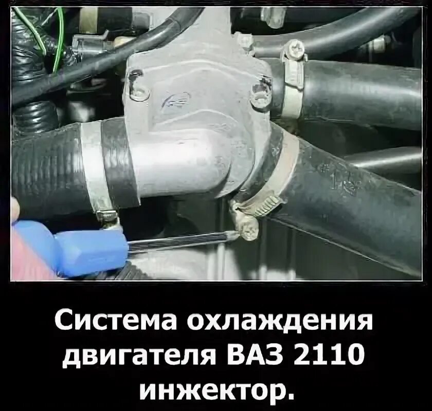 Схема патрубков ваз 2110 8 клапанов инжектор ВАЗ 2109 инжектор и термостат от гранты Lada 21093i, 1,5 л, 2003 года своими р