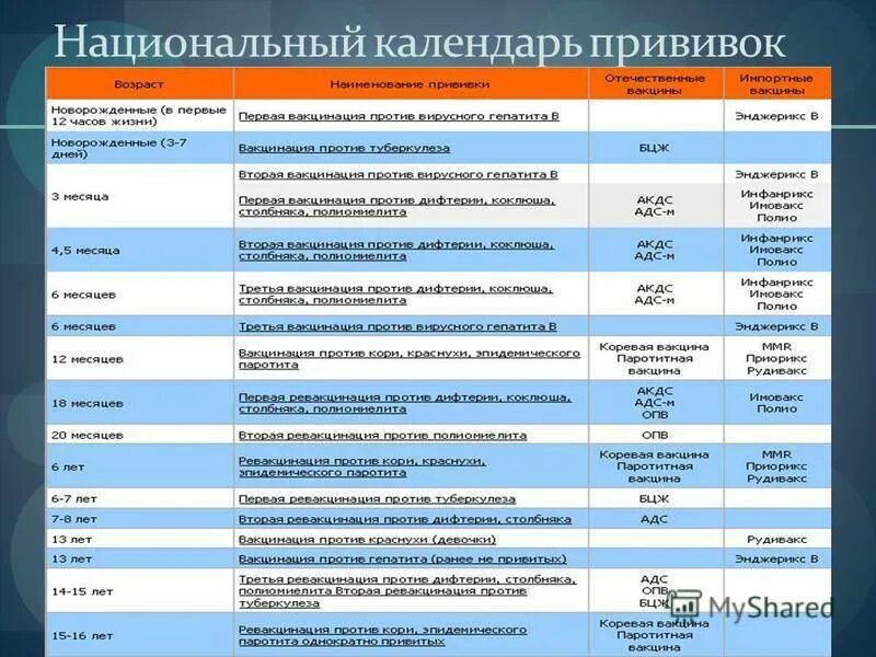 Прививка от ковида в 2024. Прививки таблица Россия. Прививки детям до года названия вакцин. Вакцины прививок для детей до года с названием. График прививок для детей с названиями вакцин.