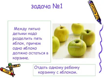 С одной яблони собрали