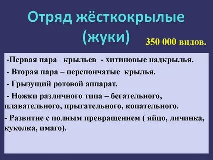Особенности отряда