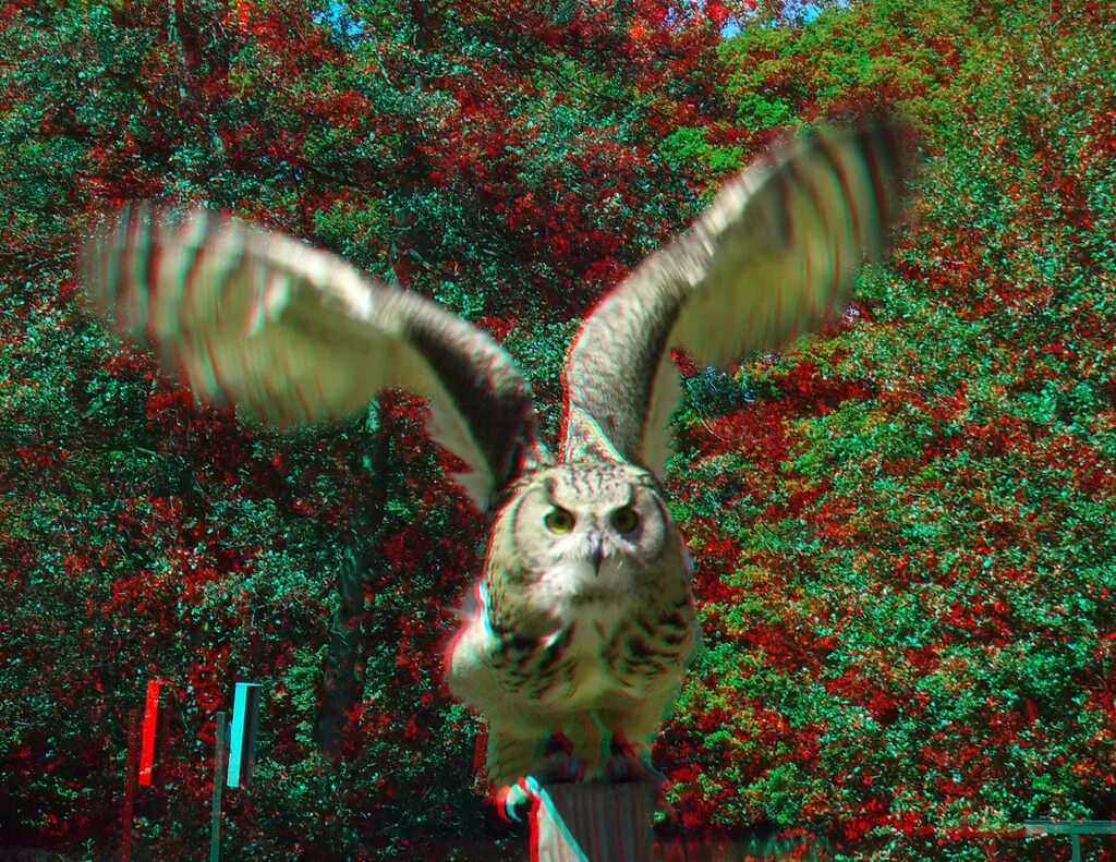 Анаглифные 3d очки анаглифные. Стереокартинки для глаз сложные. 3д фильмы для очков. Зд изображения для очков. 3 д анаглифные.