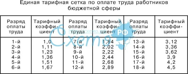 Тарифная сетка медработников в 2024 году