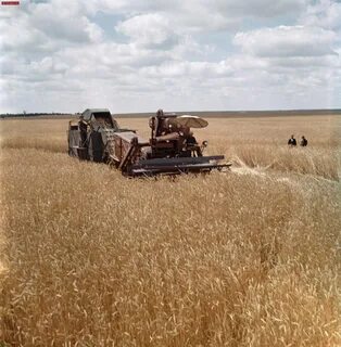 Продукция колхозов