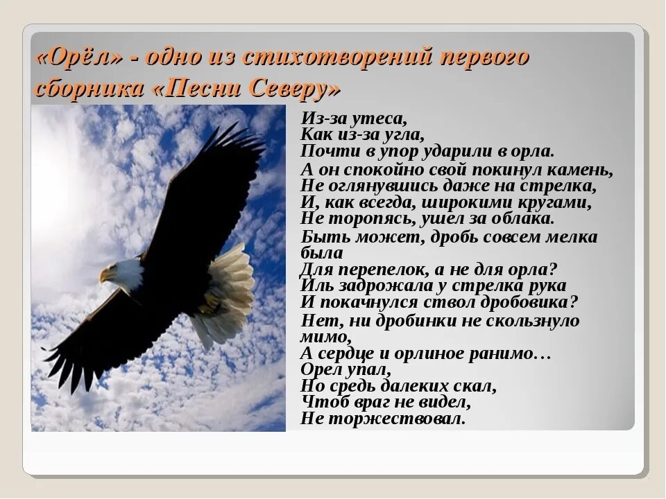 1а орлов. Стихотворение Яшина Орел. Стих про орла. В Орлов стихи. Из-за Утёса как из-за угла почти в упор ударили в орла.