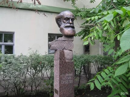 Санкт петербург орбели