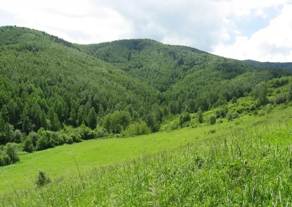 Гора глухариная белокуриха. Гора церковка город белокуриха. Земля белокуриха. Земля белокуриха. Земля белокуриха.