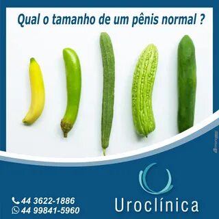 Cock size