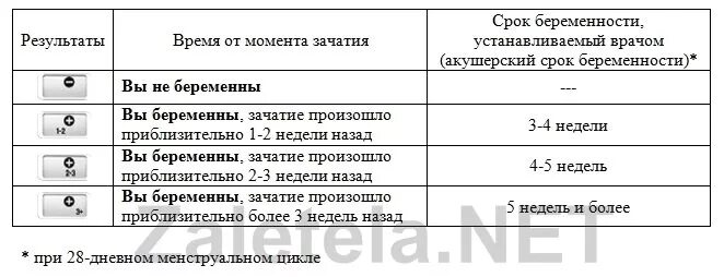 Тест на беременность. Как использовать тест на беременность. Как использовать текст на беременность. Тест на беременность как пользоваться правильно. Тест на беременность расшифровка