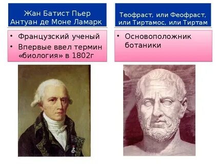 Ученый который ввел термин вид