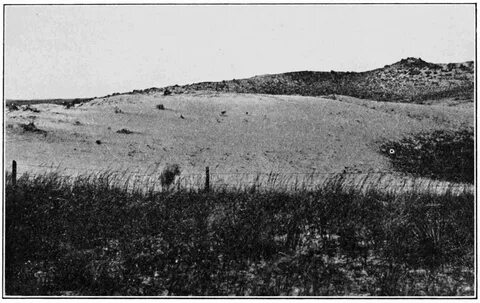 Damaged lands