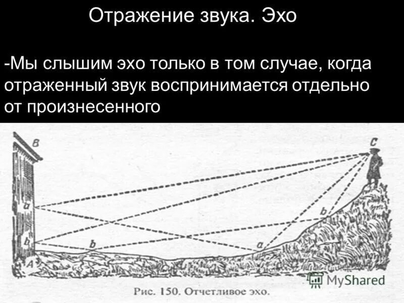 Почему в звуке эхо. Почему в звуке эхо