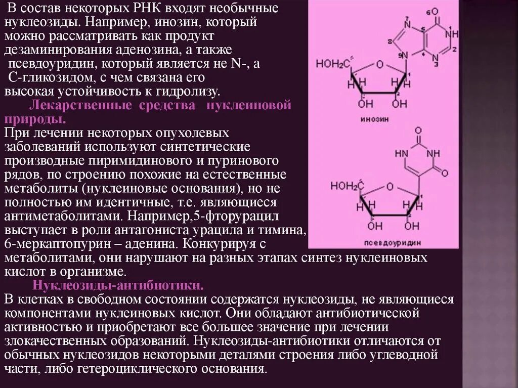 Углеводы днк и рнк. Структурные компоненты нуклеиновых кислот. Строение и биологическая роль нуклеиновых кислот. Состав нуклеиновых кислот ДНК РНК. Биологическая роль нуклеиновых кислот.